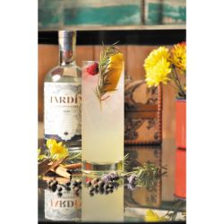 Cómo preparar el mejor gin tonic con Jardin Escondido: 10 botánicos que no pueden faltar  | Foto:CEDOC
