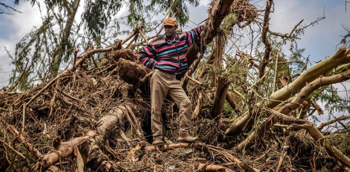 Un hombre observa mientras está parado sobre un montón de escombros en un área llena de árboles dañados y barro arrastrado por el agua luego de inundaciones repentinas y deslizamientos de tierra en Mai Mahiu, Kenia.