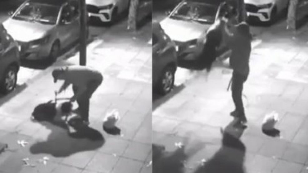 Las escenas de la cámara de seguridad que grabó al hombre pegándole a su perro en Flores.