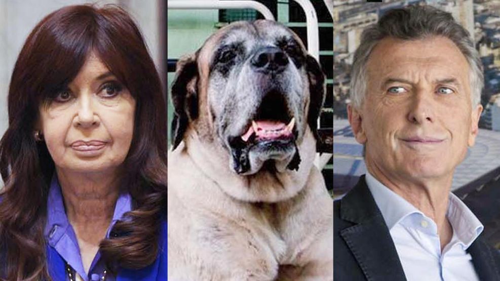 20240505_cristina_conan_macri_cedoc_g