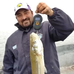 Arriba del bote, el pejerrey acusó en la balanza 1,930 kg, un verdadero matungo difícil de olvidar. 