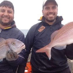 Buen pique en la mayoría de los ámbitos y la sorpresa de que van apareciendo los matungos en las lagunas. 