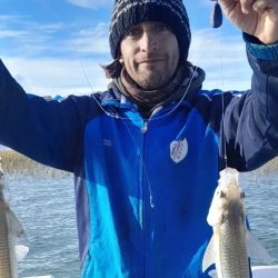 Buen pique en la mayoría de los ámbitos y la sorpresa de que van apareciendo los matungos en las lagunas. 