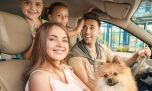 Cómo viajar con nuestras mascotas en auto, tranquilos y seguros