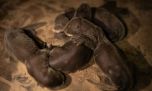 Te mostramos a los cuatro cachorros de nutria gigante que nacieron en el Parque Nacional Iberá 
