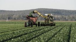 El Gobierno ratificó la baja de aranceles de importación para fertilizantes ¿Qué dice el campo?