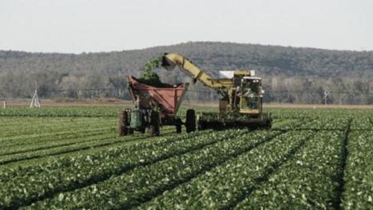 El Gobierno ratificó la baja de aranceles de importación para fertilizantes ¿Qué dice el campo?