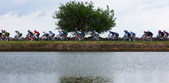 El grupo pasa por un campo de arroz durante la tercera etapa de la 107.ª carrera ciclista Giro de Italia, 166 km entre Novara y Fossano, en Fossano.