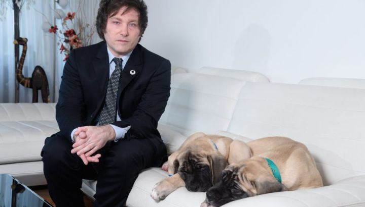 Cómo clonaron a los perros de Javier Milei: la verdad sobre lo que pasó con Conan