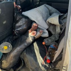  Se trasladaban en una camioneta con seis perros y bolsas de residuos con partes de guanacos.