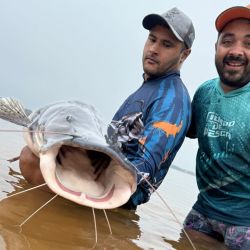 El surubí rondaba los 50 kilos y fue una las capturas más destacadas de los últimos días. 