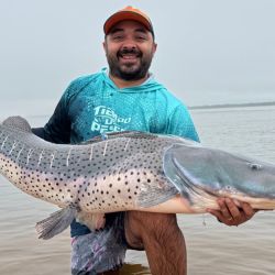 El surubí rondaba los 50 kilos y fue una las capturas más destacadas de los últimos días. 