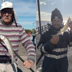 En estos momentos, no todos pescan. Hay que hacer muy bien los deberes y tener un buen día para lograr capturas. 
