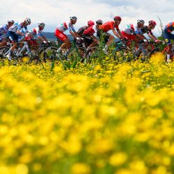 El grupo recorre durante la segunda etapa de la 107.ª carrera ciclista del Giro de Italia, 161 km entre San Francesco al Campo y el Santuario de Oropa. | Foto:Luca Bettini / AFP