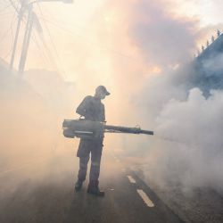 Un oficial de control de plagas fumiga una calle con insecticidas en Yakarta, Indonesia, en medio de esfuerzos para detener la propagación de los mosquitos del dengue. | Foto:BAHÍA ISMOYO / AFP