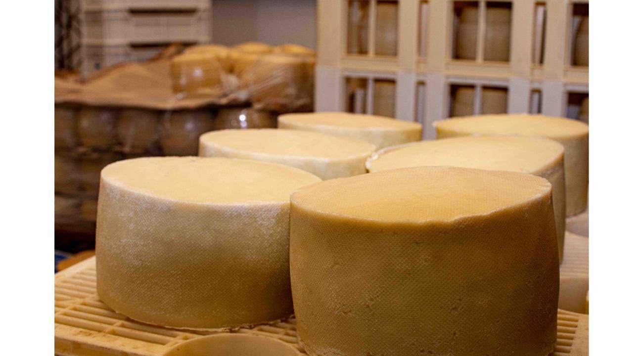 Siete Cabritos, pioneros en lácteos y quesos especiales 