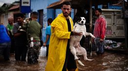 Brazil's Worst Flooding In 80 Years Leaves Dozens Dead And Missing