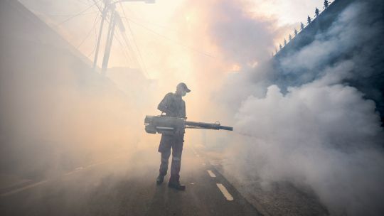 Fotogaleria Un oficial de control de plagas fumiga una calle con insecticidas en Yakarta, Indonesia, en medio de esfuerzos para detener la propagación de los mosquitos del dengue