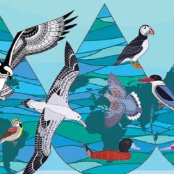 La pérdida y alteración de las poblaciones de insectos en los lugares de cría y a lo largo de las rutas de migración de las aves amenazan su supervivencia y bienesta