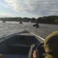 Tiros en el río: un operativo de Prefectura contra pescadores ilegales generó confusión con la Armada paraguaya