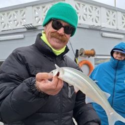 El pejerrey fue la atracción principal para todos los pescadores bonaerenses. 