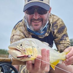 Tras desaparecer bastante tiempo, hace ocho años volvió a ingresar por la laguna La Helvecia, según los primeros registros. Poco a poco, va acrecentando su presencia.