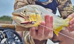 Buenos indicios para los pescadores sobre los peces que habitan la cuenca del río Cuarto