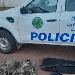 El operativo se realizó en el marco del inicio de la temporada de caza.