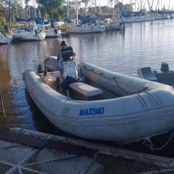 El Río de la Plata está en su mejor momento, hay cantidad y calidad, con los mejores meses por delante para seguir disfrutando de estas hermosas flechas de plata.