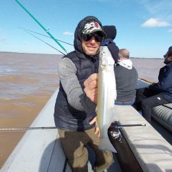 El Río de la Plata está en su mejor momento, hay cantidad y calidad, con los mejores meses por delante para seguir disfrutando de estas hermosas flechas de plata.