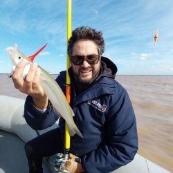 El Río de la Plata está en su mejor momento, hay cantidad y calidad, con los mejores meses por delante para seguir disfrutando de estas hermosas flechas de plata.