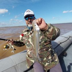 El Río de la Plata está en su mejor momento, hay cantidad y calidad, con los mejores meses por delante para seguir disfrutando de estas hermosas flechas de plata.