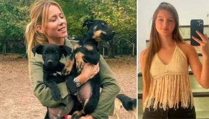 La modelo compartió en sus redes sociales que mientras su hija ordenaba su cuarto, sus perras se entretenían.
