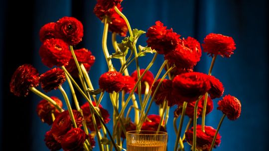 Día Mundial del Cóctel: su historia, bares recomendados y tragos fáciles de preparar