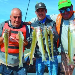 En laguna Manantiales la amplia costa nos permite realizar buena pesca desde la orilla, tanto de flote como de fondo, ambas rinden excelente si se hacen bien los deberes.