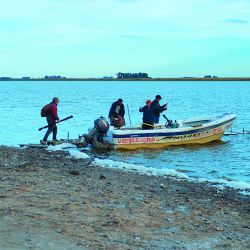 En laguna Manantiales la amplia costa nos permite realizar buena pesca desde la orilla, tanto de flote como de fondo, ambas rinden excelente si se hacen bien los deberes.