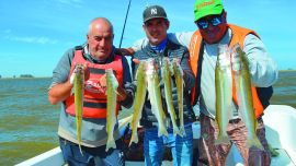 En laguna Manantiales la amplia costa nos permite realizar buena pesca desde la orilla, tanto de flote como de fondo, ambas rinden excelente si se hacen bien los deberes.