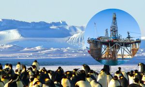 Petróleo en la Antartida