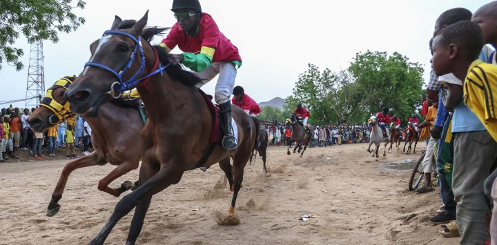 Jinetes (de Camerún, Chad, Níger y Nigeria) a lomos de sus caballos reaccionan durante la 12.ª edición del Gran Premio Internacional de Carreras de Caballos de Camerún en Maroua.