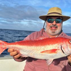 En Robinson Crusoe la pesca se puede realizar en diferentes modalidades, tanto popping, spinning, jigging como fly cast. 