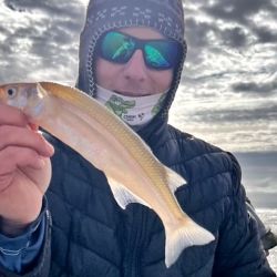La laguna está muy bien poblada, con muchos ejemplares de 20 a 37 cm, lo que nos obliga a trabajar con carnadas y anzuelos para seleccionar al pejerrey.