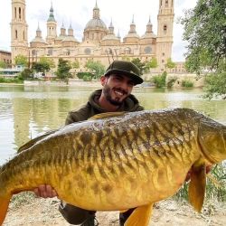 La soberbia captura la logró Carlos Perdices Cruces en aguas del río Ebro y llevaba más de tres años buscándola. 