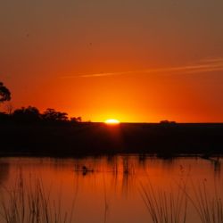 San Mayol, un pueblito de Tres Arroyos que reverdeció gracias al turismo.