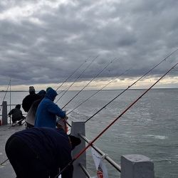 Recorremos los ámbitos más destacados en los últimos días para programar la próxima salida de pesca.