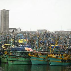 Se ven barcos pesqueros amarrados en el puerto pesquero de Kasimedu durante una prohibición de pesca de arrastre de 61 días en Chennai, India. | Foto:R. Satish Babu / AFP
