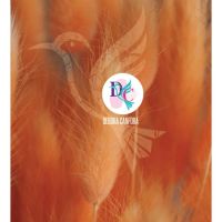 Explorando el Bienestar Integral: Diferentes Abordajes para el Cuidado Físico y Emocional
