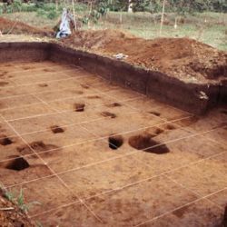 La ciudad se encontraba oculta bajo la selva amazónica ecuatorianal