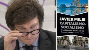 NOTICIAS descubrió más plagios de Javier Milei en su nuevo libro