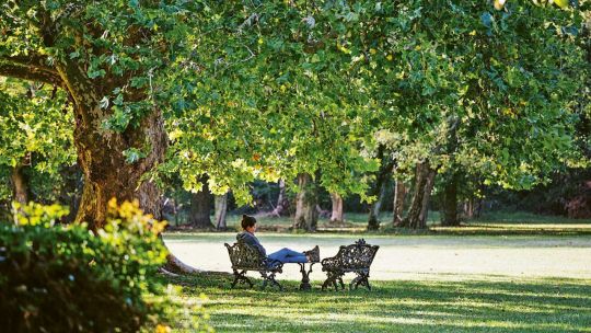 Turismo de silencio: Destinos ideales para descansar y reponer energías