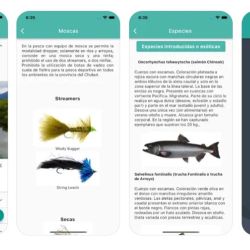 La aplicación Quiero Pescar intenta proporsionar una mejor experiencia en las salidas piscatorias. 